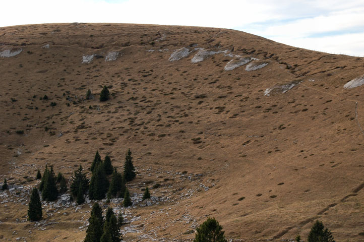 trincee altipiani di asiago
